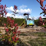 Campsite Au D'hautibus Argentonnay