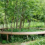 Au D'hautibus