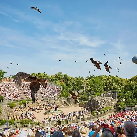 Au D'hautibus 营地